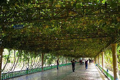 《凯娜：精神之桥》首批MOD发布 支持超宽屏分辨率